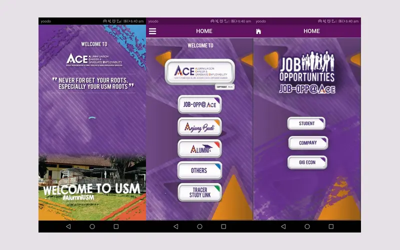 ACE USM