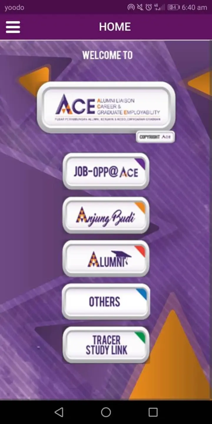 ACE USM screenshot